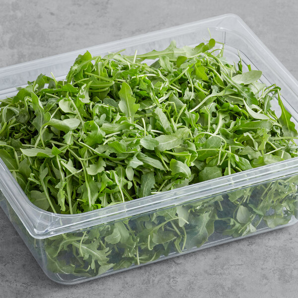 A plastic container of fresh baby arugula leaves.