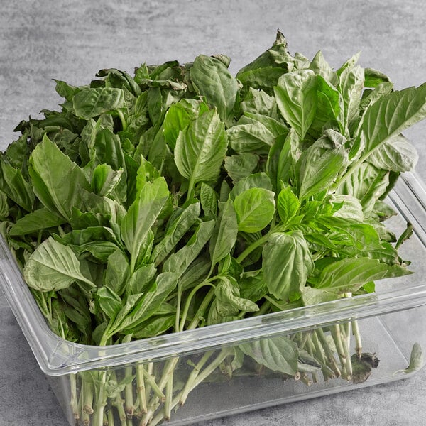 A plastic container of fresh basil leaves.