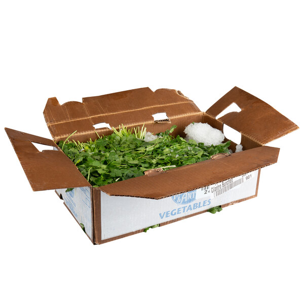 Bunched Cilantro 30/Case