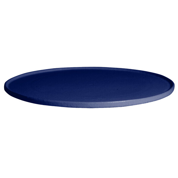 A blue G.E.T. Enterprises Bugambilia resin-coated aluminum round disc with rim.