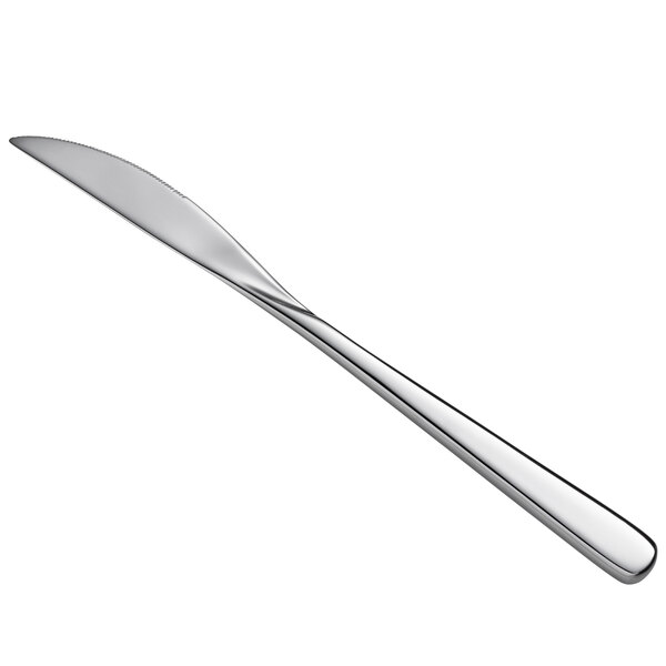 A Sant'Andrea Quantum stainless steel dinner knife with a silver handle on a white background.