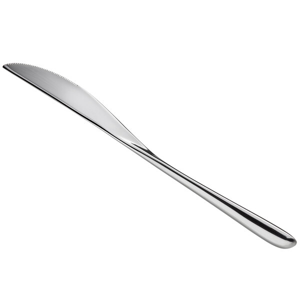 A Sant'Andrea Quantum stainless steel dessert knife with a silver finish.