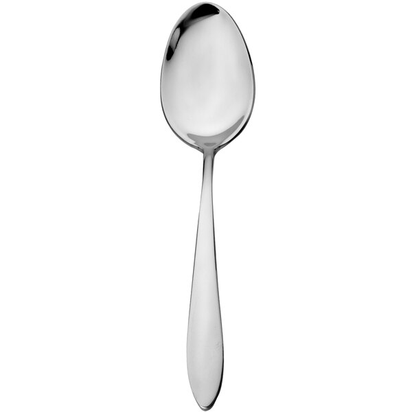 A Walco stainless steel serving spoon with a silver handle.