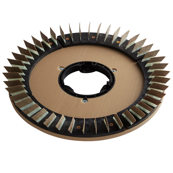 A circular object with many black spikes.