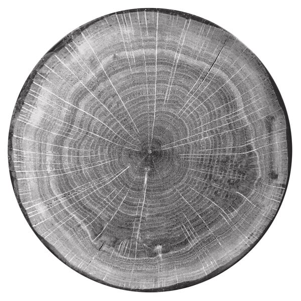 A close up of a beech wood tree stump.