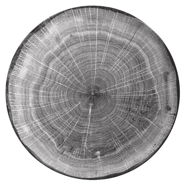 A close up of a beech wood tree stump.