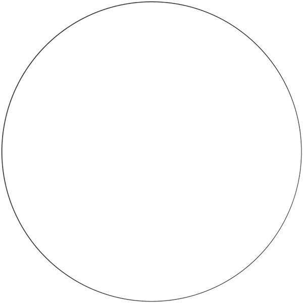 A white circle with black lines.