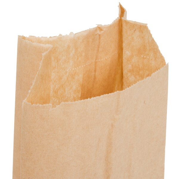 Classic Paper Bags