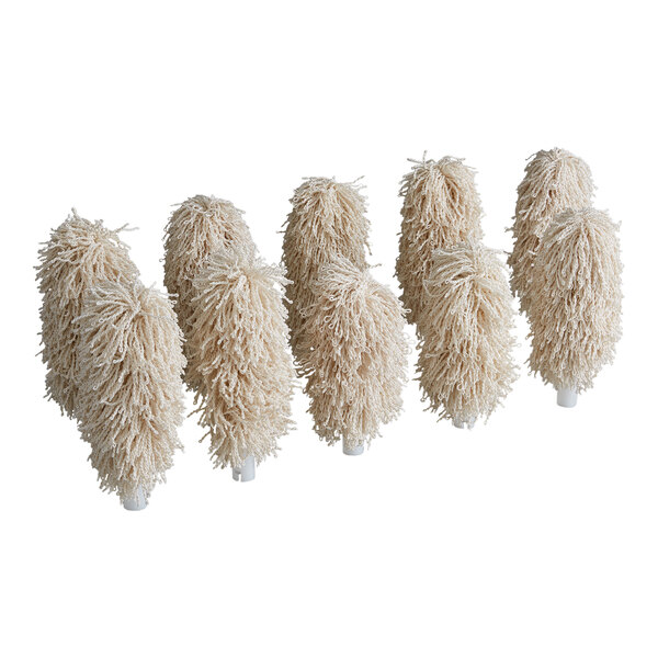 A set of ten beige replacement brushes for the Noble Warewashing GP1600 Glass Genie.