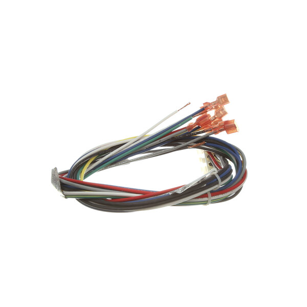 A Blodgett wiring harness with several colored wires.