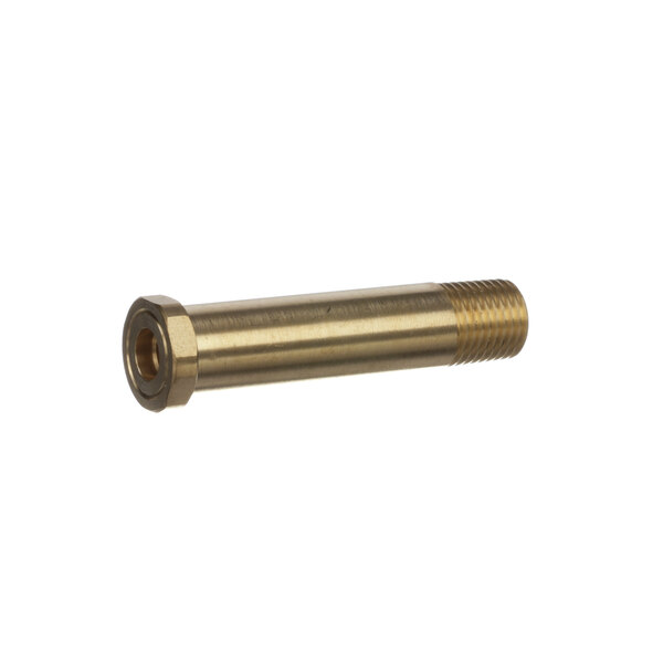 A gold metal Lancer Co2 inlet nipple with a nut on the end.