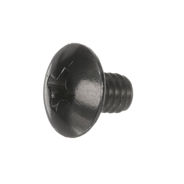 A close-up of a black Hardt 8478 screw with a star.