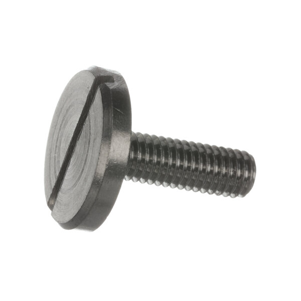 A close-up of a Fri-Jado stainless steel screw with a black head.