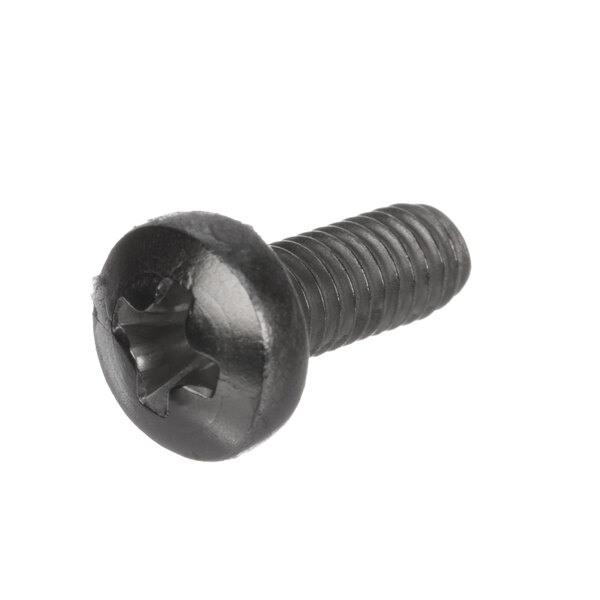 A close-up of a black Hobart screw with a star.