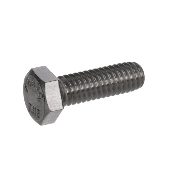 A hex head screw on a white background.