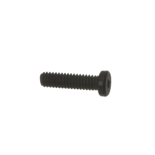 A close-up of a black Hobart screw with a round head.