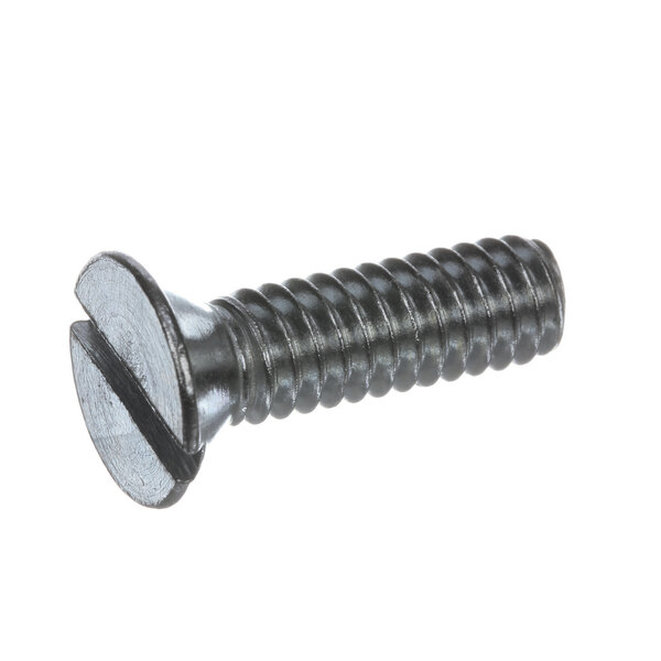 A close-up of a Hobart SC-014-56 screw.
