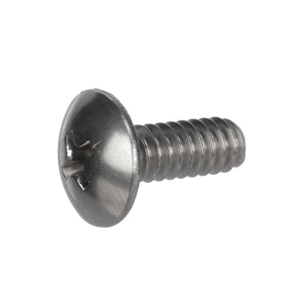 A close-up of an XLT XF 124 large screw.