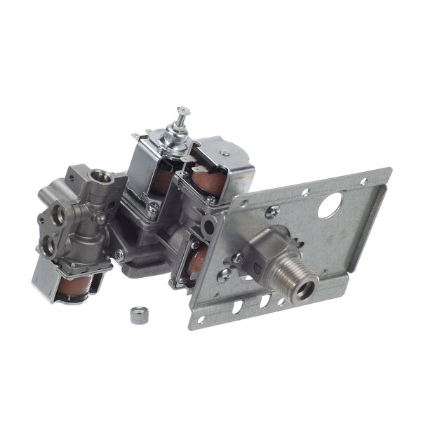 Rinnai 206000022 Gas Control Assy A, Es38