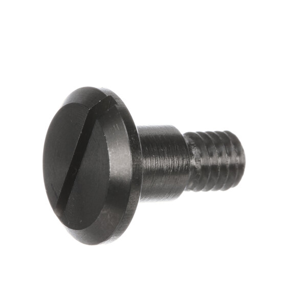 A close-up of a black Hobart special screw.