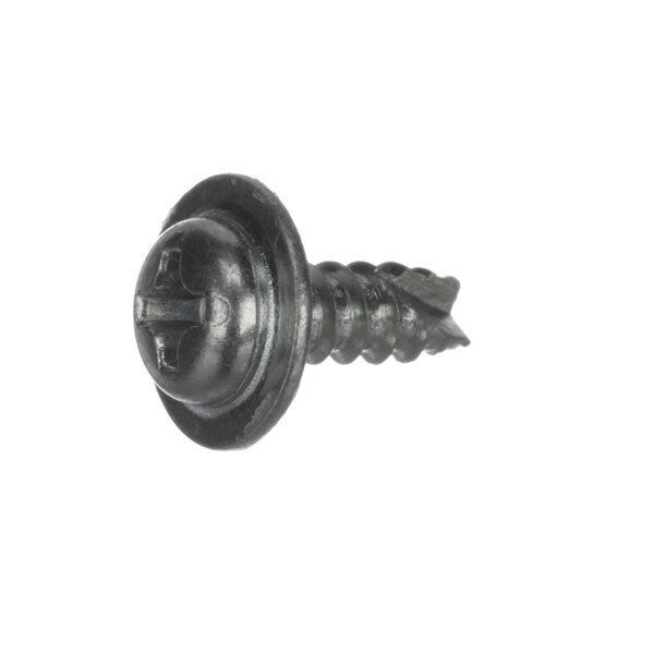 A close-up of a black Hoshizaki tapping screw with a round head.