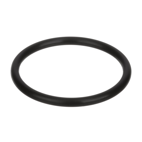 A black round rubber o-ring with white background.