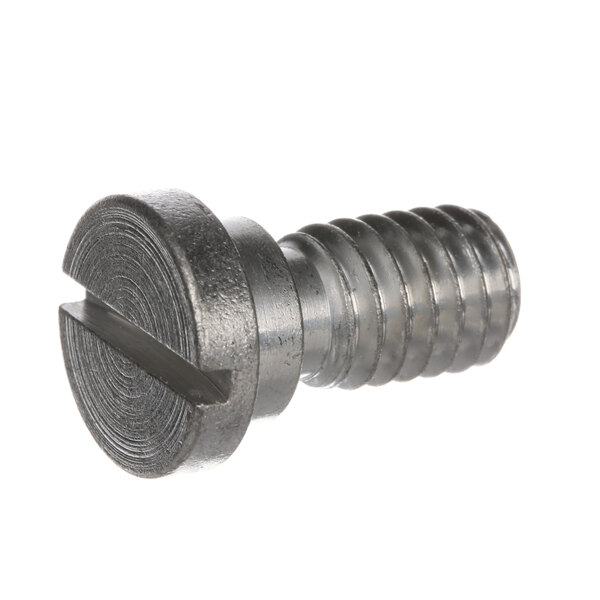 A close-up of a Hobart screw with a metal head.