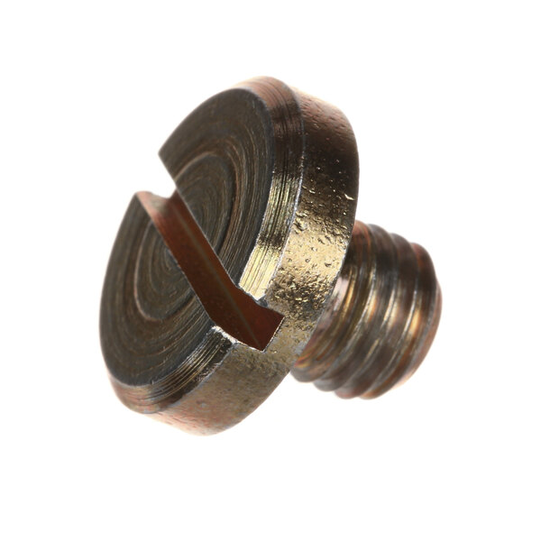 A close-up of a Hobart retaining screw with a metal nut on top.