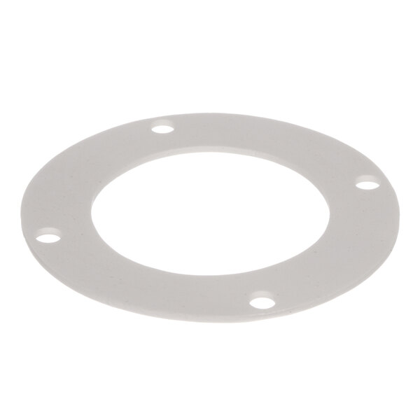 A white round gasket with holes.