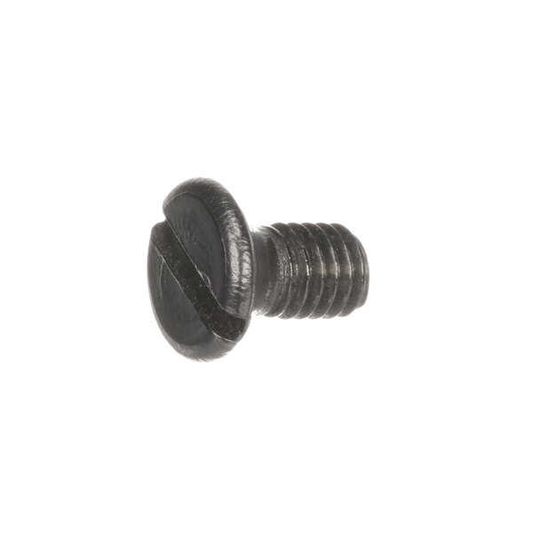 A close-up of a black Berkel upper guard screw with a screw in it.