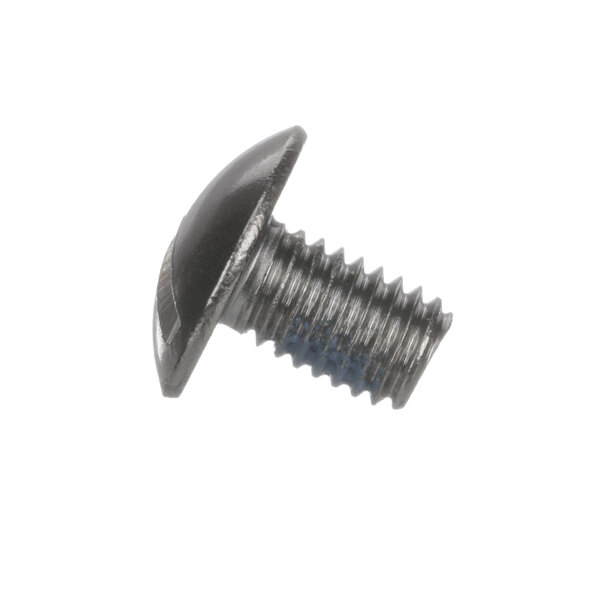 A close-up of a Bunn screw with a black head.