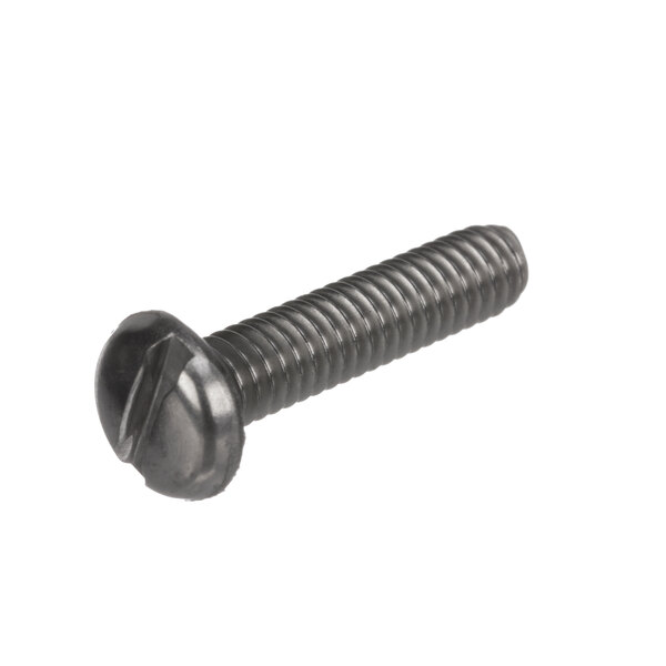 A close-up of a Bunn 01370.0000 screw.