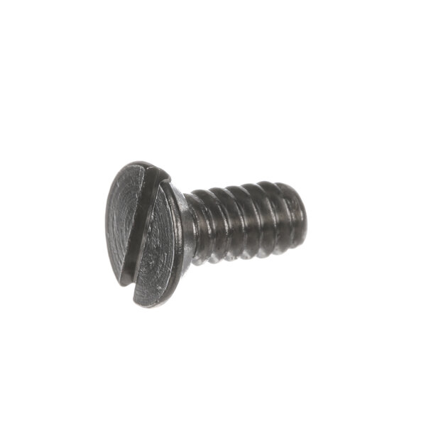 A close-up of a Mannhart screw.