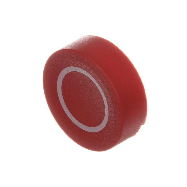 A red round plastic button.