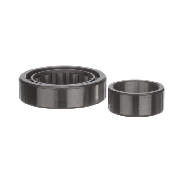 Two black rubber bearings on a metal ring.