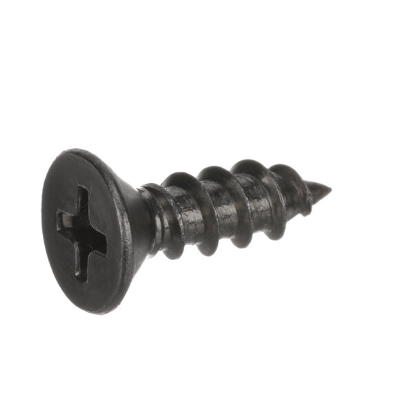 A close-up of a black Jackson Type A C'Sunk Head screw.