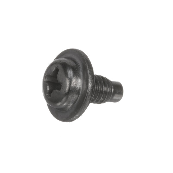 A close-up of a black Rinnai thermistor stop screw.