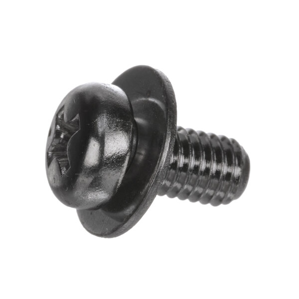 A close-up of a black screw with a round head.