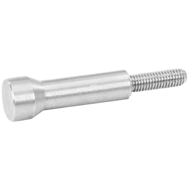 A close-up of a silver stainless steel Carpigiani pin-stop casing screw with a round head.
