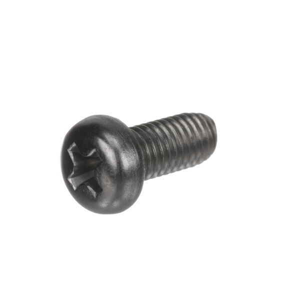 A close-up of a black Rinnai water heater screw with a star on it.