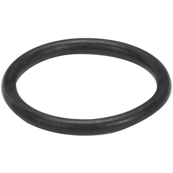 A black rubber O-ring for a Carpigiani soft serve machine.