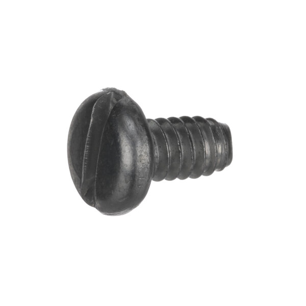A close-up of a Hobart black screw with a round head.