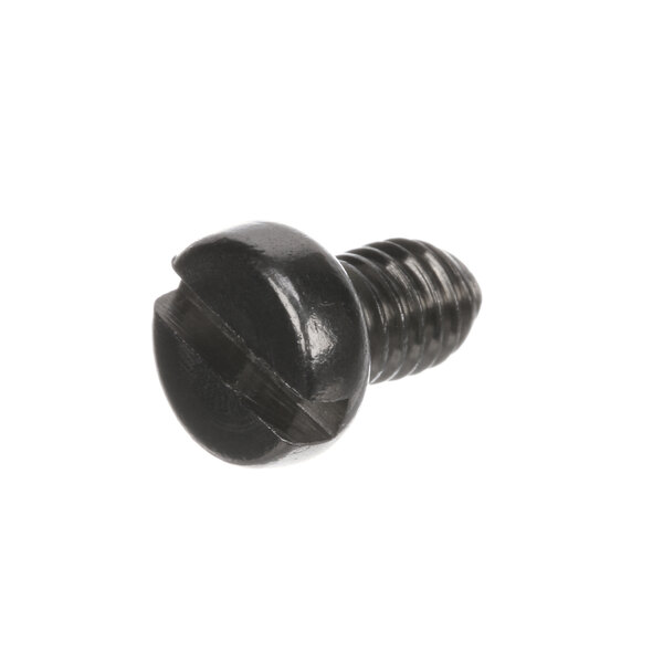 A close-up of a Berkel screw with a black head.