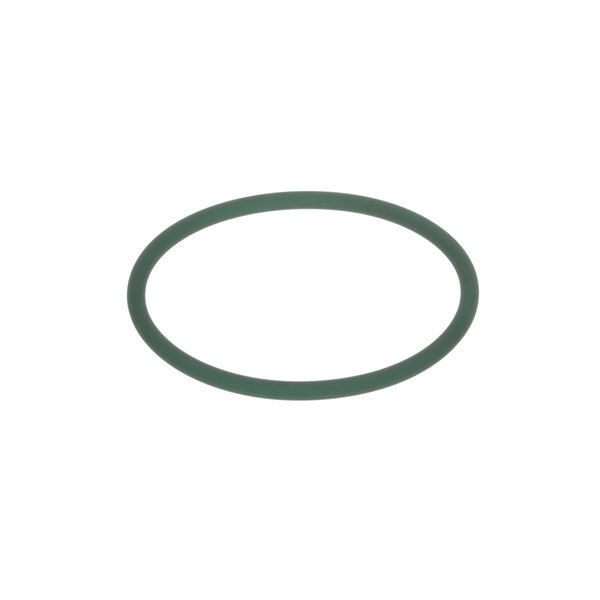 A green o-ring on a white background.