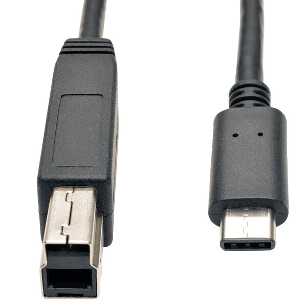 A close-up of a Tripp Lite USB-C to USB Type-B cable with two male connections.