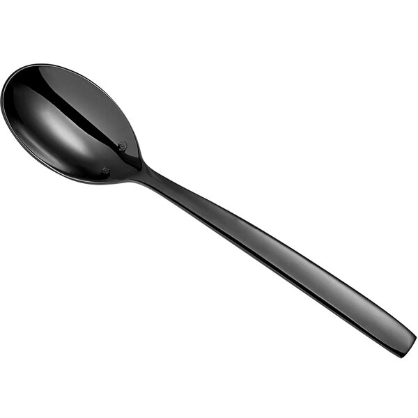 A black Chef & Sommelier stainless steel spoon with a long handle.