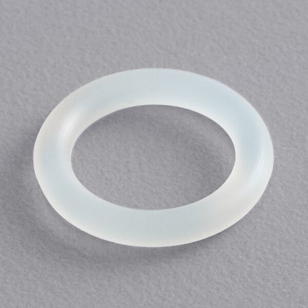 A white round O-ring with a grey center