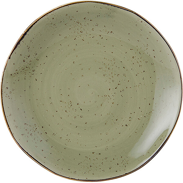 A Tuxton TuxTrendz china plate with a green speckled pattern.