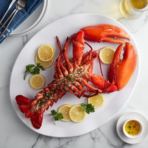 A Boston Lobster Company lobster on a plate with lemon slices and herbs.