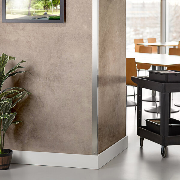 A plant in a pot on a table with a stainless steel wall guard behind it.